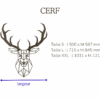 CERF – Image 2