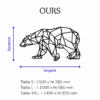 OURS – Image 2